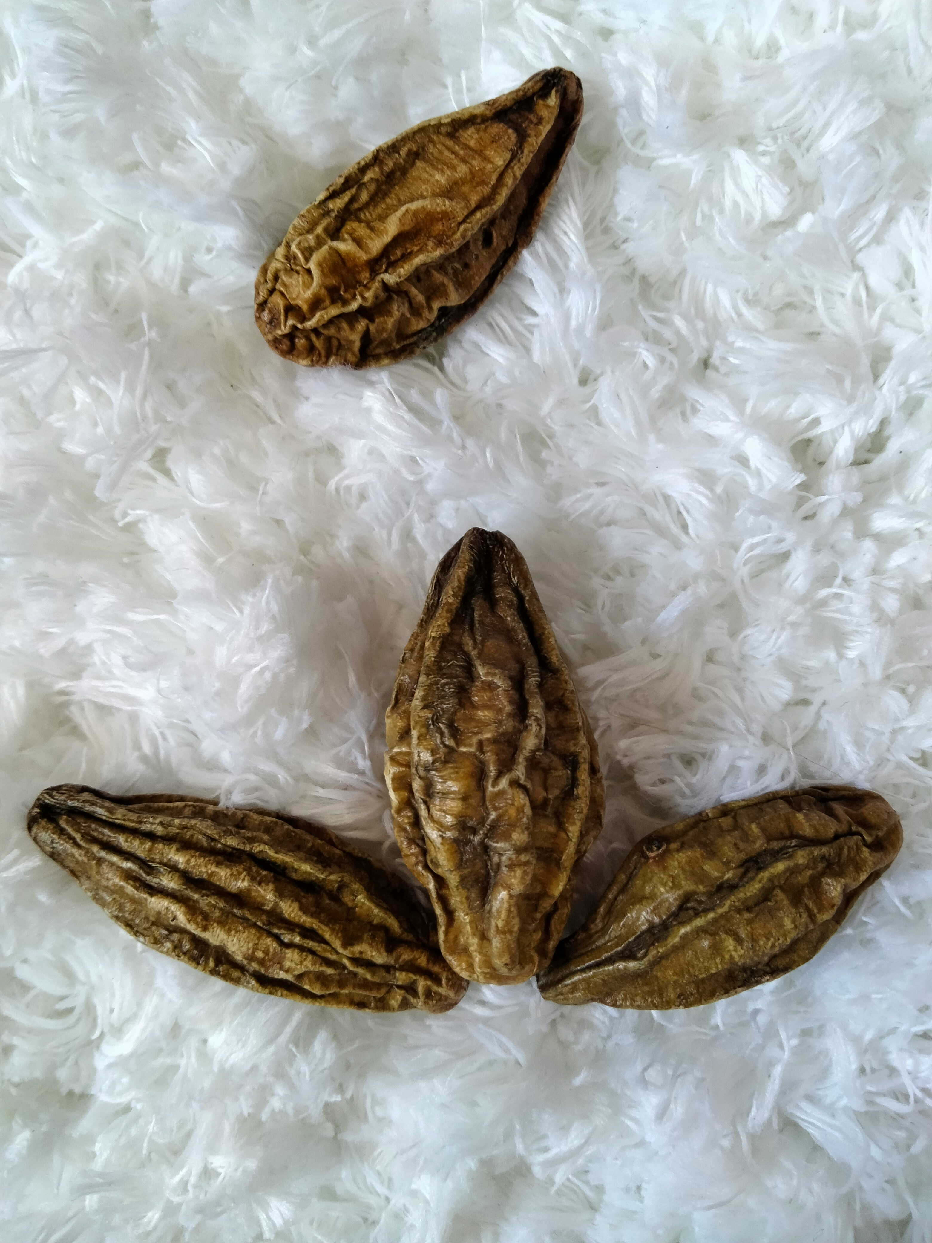 Ayurvedic Healing